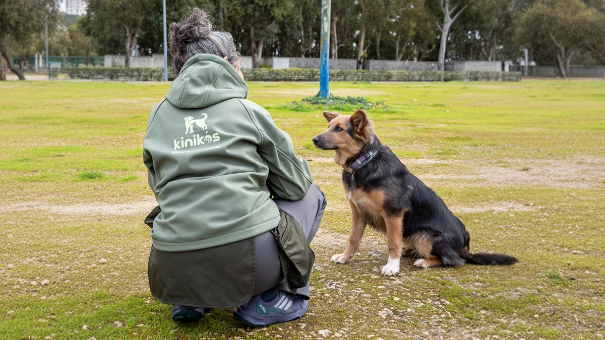 Por qué prefiero hablar de educación y no de obediencia